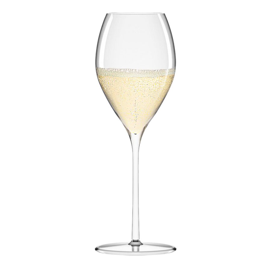 Tulip Champagne Glass 14 ¼ oz